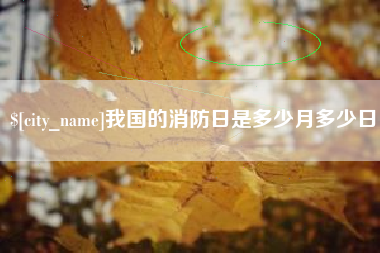 岳阳我国的消防日是多少月多少日