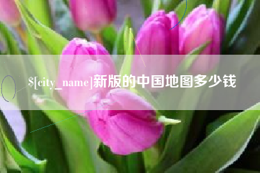 岳阳新版的中国地图多少钱