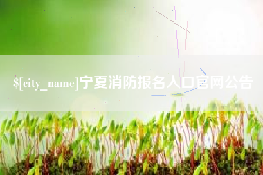 岳阳宁夏消防报名入口官网公告