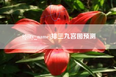 岳阳排三九宫图预测