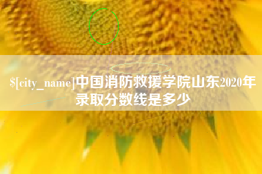 岳阳中国消防救援学院山东2020年录取分数线是多少