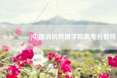 岳阳中国消防救援学院高考分数线