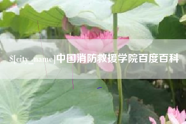 岳阳中国消防救援学院百度百科