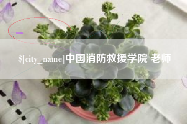 岳阳中国消防救援学院 老师