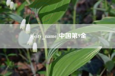 岳阳中国第9金
