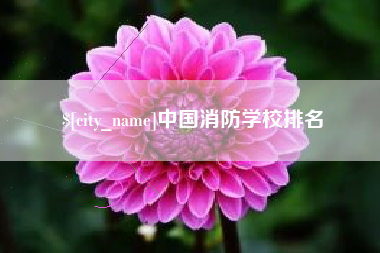 岳阳中国消防学校排名