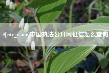 岳阳中国执法公开网征信怎么查询