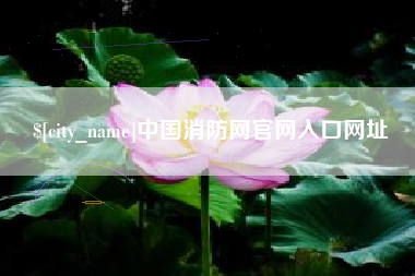 岳阳中国消防网官网入口网址