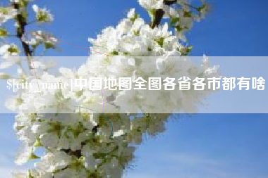 岳阳中国地图全图各省各市都有啥