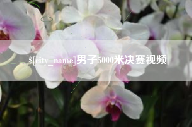 岳阳男子5000米决赛视频