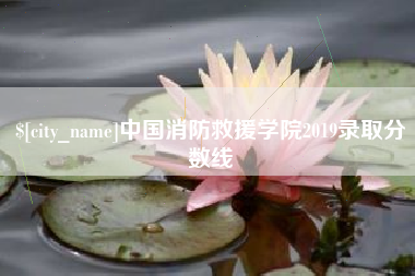 岳阳中国消防救援学院2019录取分数线