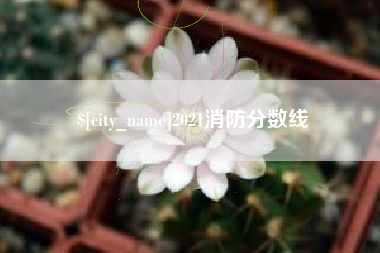 岳阳2021消防分数线