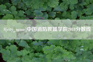 岳阳中国消防救援学院2018分数线