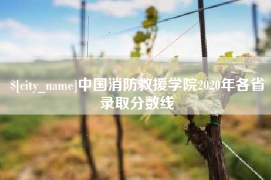 岳阳中国消防救援学院2020年各省录取分数线
