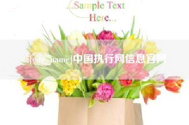 岳阳中国执行网信息官网