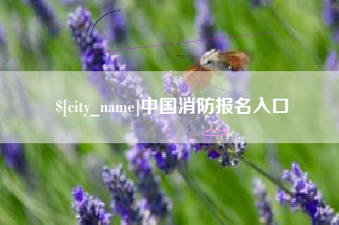 岳阳中国消防报名入口