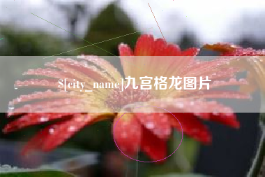 岳阳九宫格龙图片