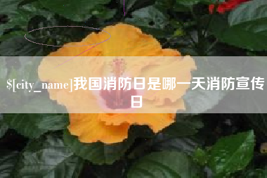 岳阳我国消防日是哪一天消防宣传日