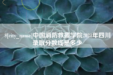 岳阳中国消防救援学院2021年四川录取分数线是多少