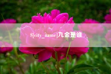 岳阳九金是谁