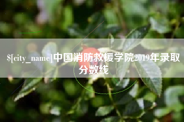 岳阳中国消防救援学院2019年录取分数线