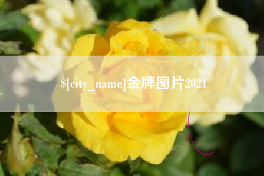 岳阳金牌图片2021