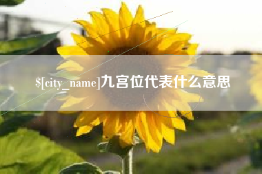 岳阳九宫位代表什么意思