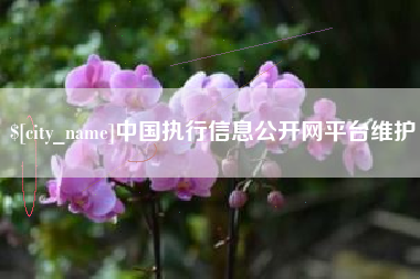 岳阳中国执行信息公开网平台维护