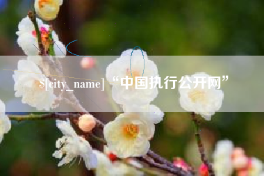 岳阳“中国执行公开网”