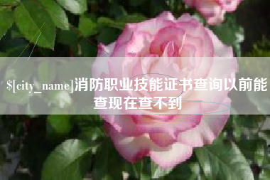 岳阳消防职业技能证书查询以前能查现在查不到