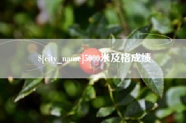 岳阳5000米及格成绩