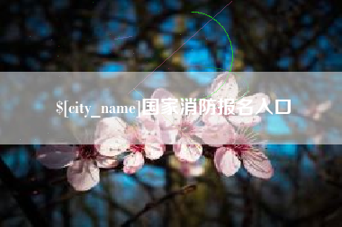 岳阳国家消防报名入口