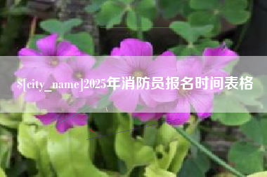 岳阳2025年消防员报名时间表格
