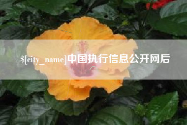 岳阳中国执行信息公开网后