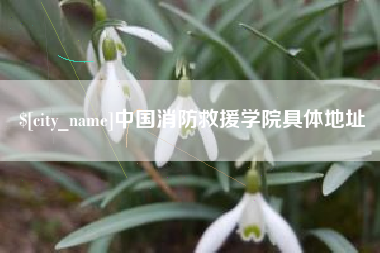 岳阳中国消防救援学院具体地址
