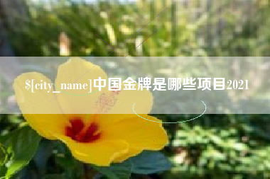 岳阳中国金牌是哪些项目2021