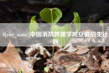 岳阳中国消防救援学院安徽招生计划