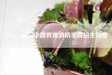岳阳中国救援消防学院招生简章