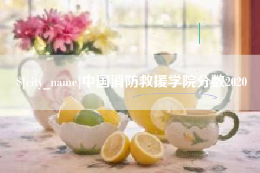 岳阳中国消防救援学院分数2020