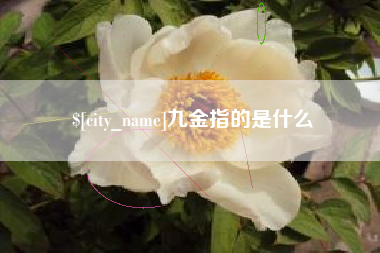 岳阳九金指的是什么