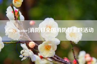 岳阳消防日全国消防日主题活动
