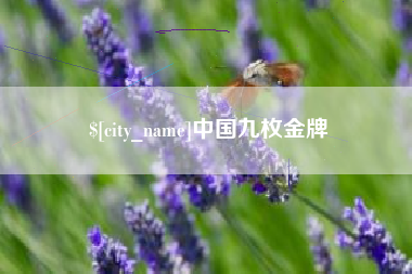 岳阳中国九枚金牌