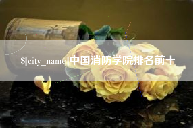 岳阳中国消防学院排名前十