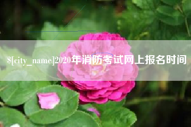 岳阳2020年消防考试网上报名时间
