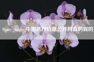 岳阳中国执行信息公开网真的假的