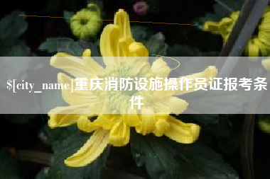岳阳重庆消防设施操作员证报考条件