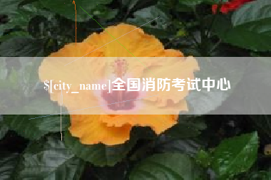 岳阳全国消防考试中心