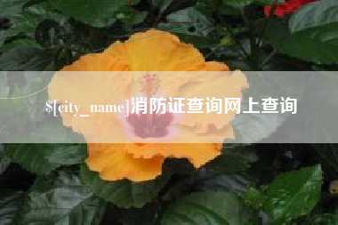 岳阳消防证查询网上查询