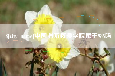 岳阳中国消防救援学院属于985吗