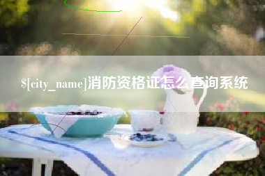 岳阳消防资格证怎么查询系统